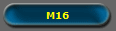 M16