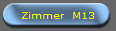 Zimmer  M13